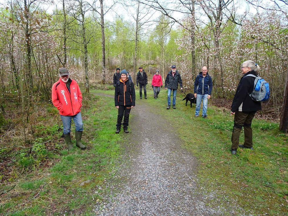 Vandring i vårlandskap första maj 2020
