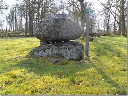 Medlemmar vandrar i naturen vid Berg, Gällared